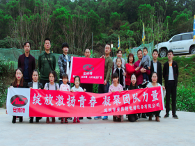 感恩2018，展望2019